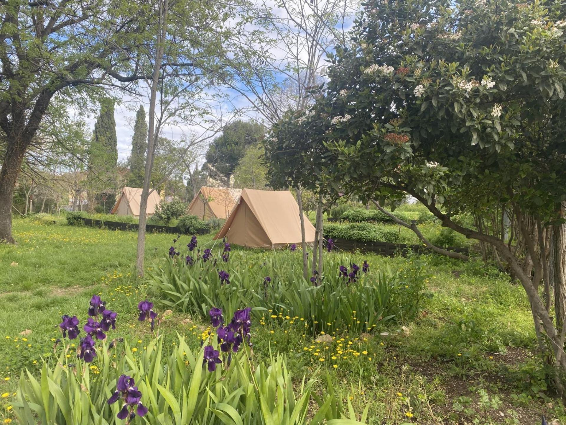 Auberge De Jeunesse Hi Marseille Bois-Luzy Esterno foto